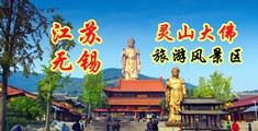 三级视频果冻江苏无锡灵山大佛旅游风景区