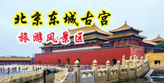 嫩穴流白浆中国北京-东城古宫旅游风景区